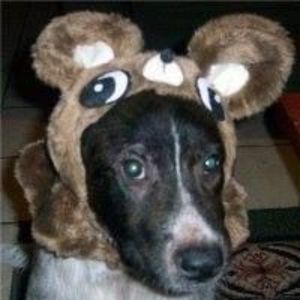 Meet your Posher, Stephen